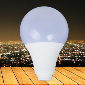 LED bulb lamp