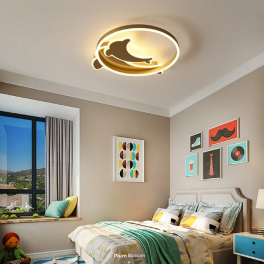 Light luxury ceiling lamp LC155 dolphin