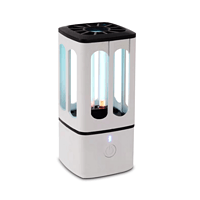 Portable UV ozone disinfection lamp