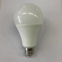 LED Bulb