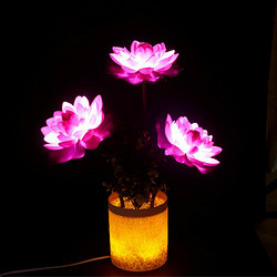 HengTian Lotus Flower Light