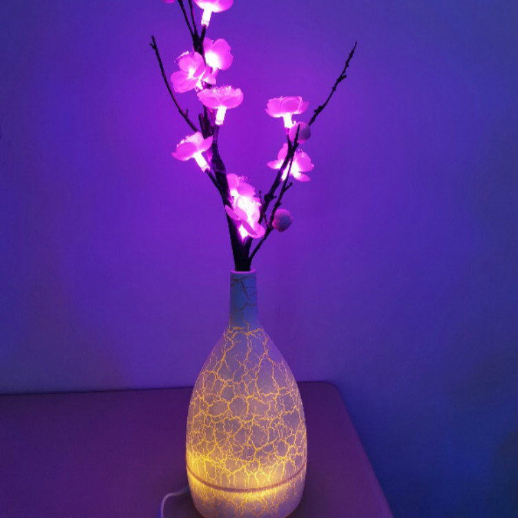 HengTian Plum Blossom Flower Light