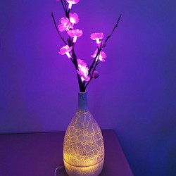 HengTian Plum Blossom Flower Light