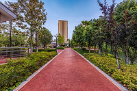 Beautiful and Practical Outdoor Lawn Street Lights are Worthy of Being Chosen