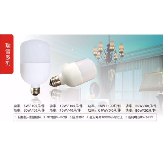 Snow Series LED Bulb