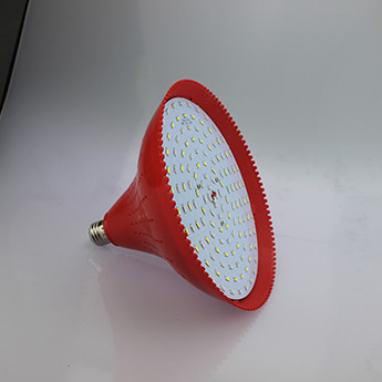 LED cooked lamp
