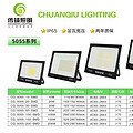 5055 series flood light