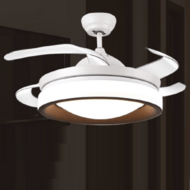 FSD-L45 Circular Simple Fan Lamp