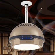 FSD-3106 Intelligent Remote Controlled Circular Fan Lamp