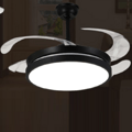 FSD-2332 Minimalist Black Ring Edge Fan Lamp