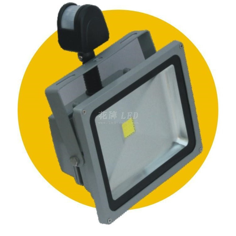 Floodlight,30W