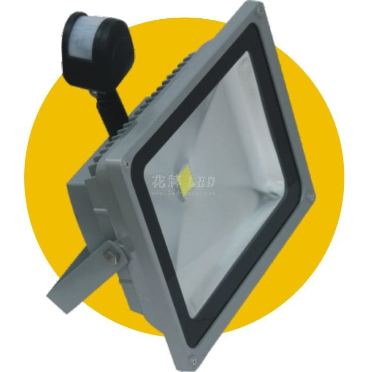 Floodlight,50W