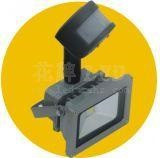 Floodlight,10W