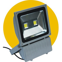 Floodlight,100W