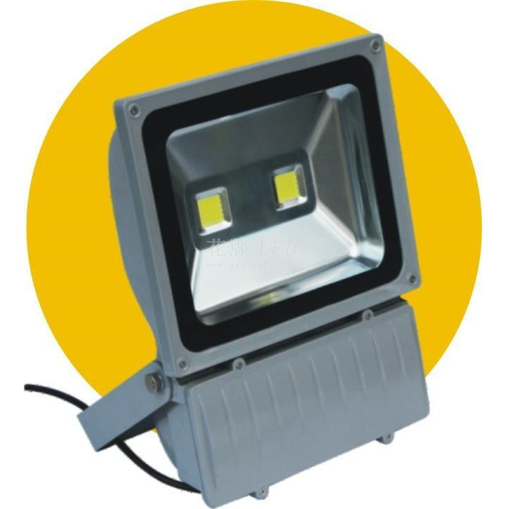 Floodlight,100W