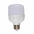 Cool Pu white rich C light bulb