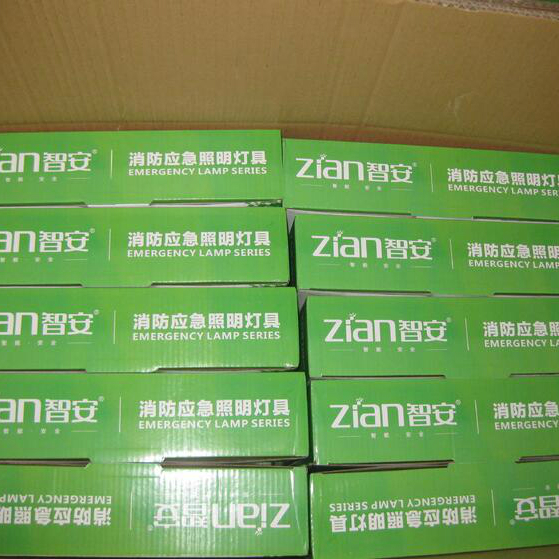 Emergency Light,simple,Double,Stairs,Fire control