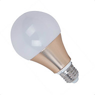 LED Bulb