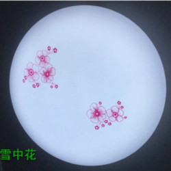 LED ceiling lamp