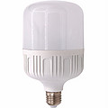 LED Bulb