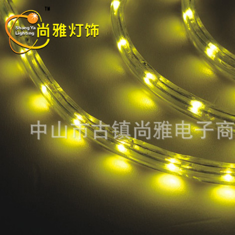 LED Strip Light,LED Lighting & Technology,Festival color,Low pressure patch