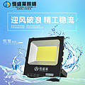 5054 Floodlight