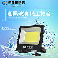 5054 Floodlight