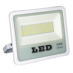 LED outdoor waterproof flood light 100W