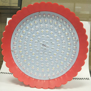 Fresh Food Lamp,Simple,Red,50W