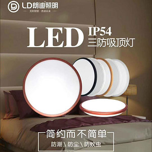 LED Simple Tri-proof Ceiling Lamp