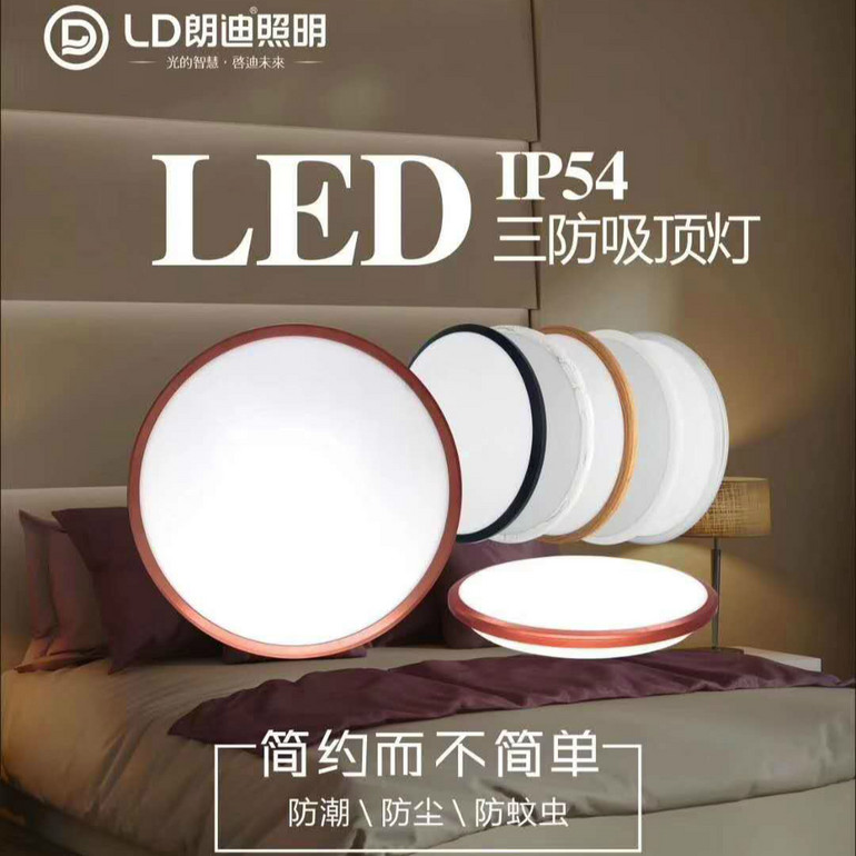 LED Simple Tri-proof Ceiling Lamp