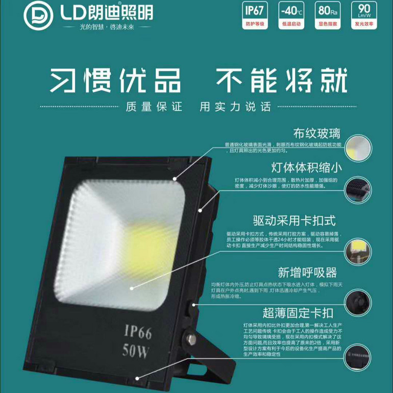 50W LED Floodlight Series