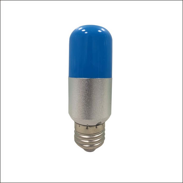 Light Bulb