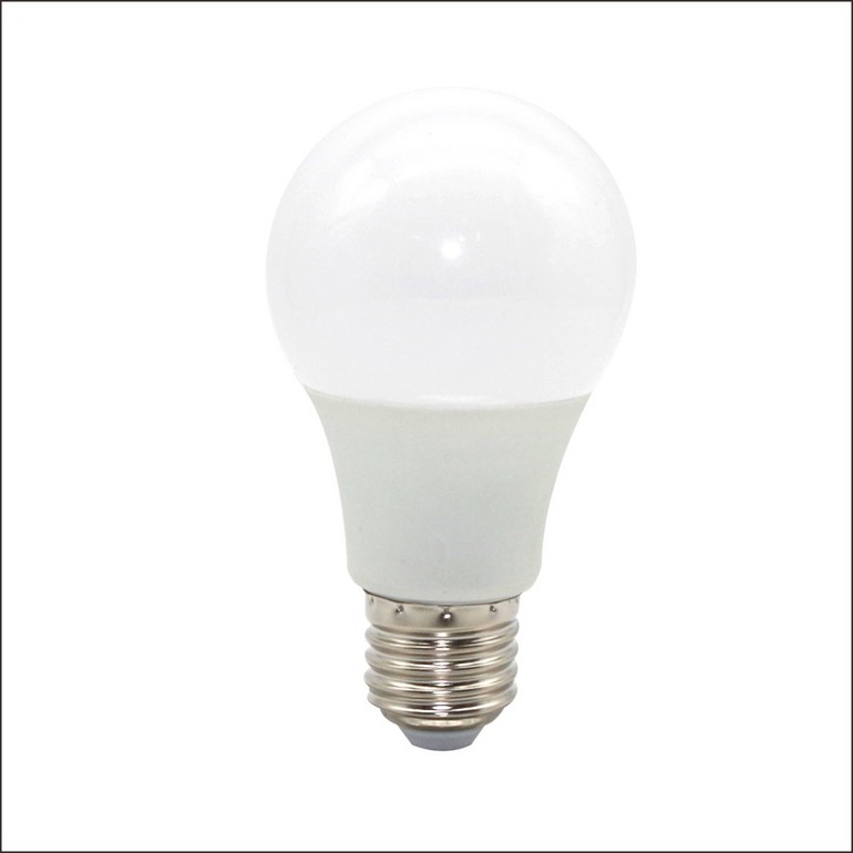 Light Bulb