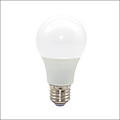 Light Bulb