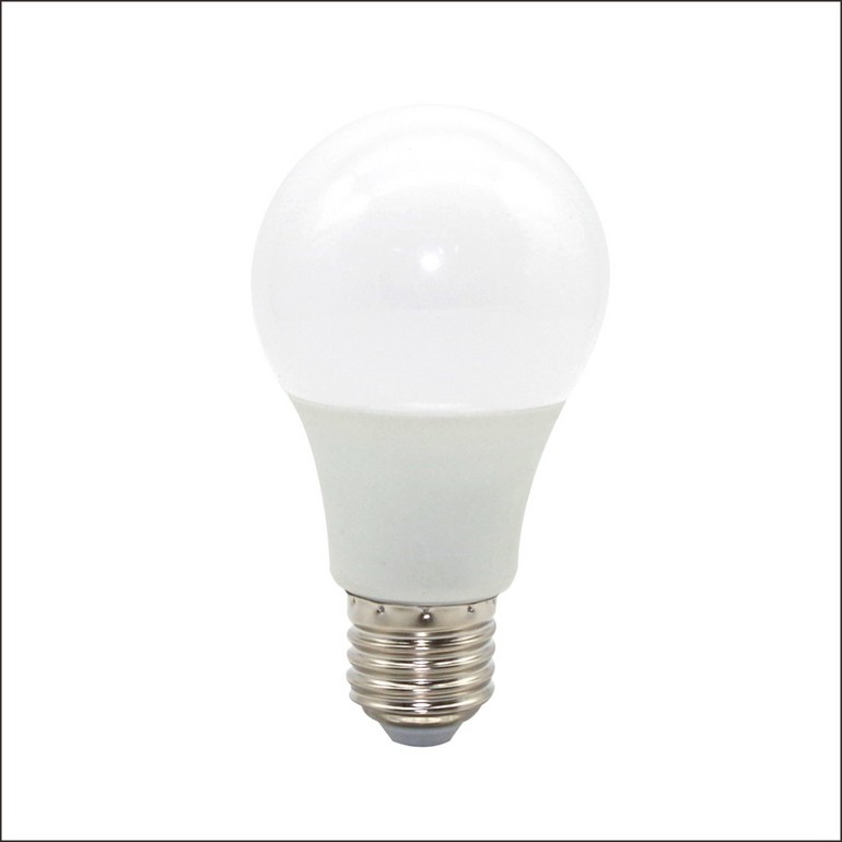 Light Bulb