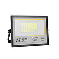 LG series 50W IP66 220V Flood Lamp