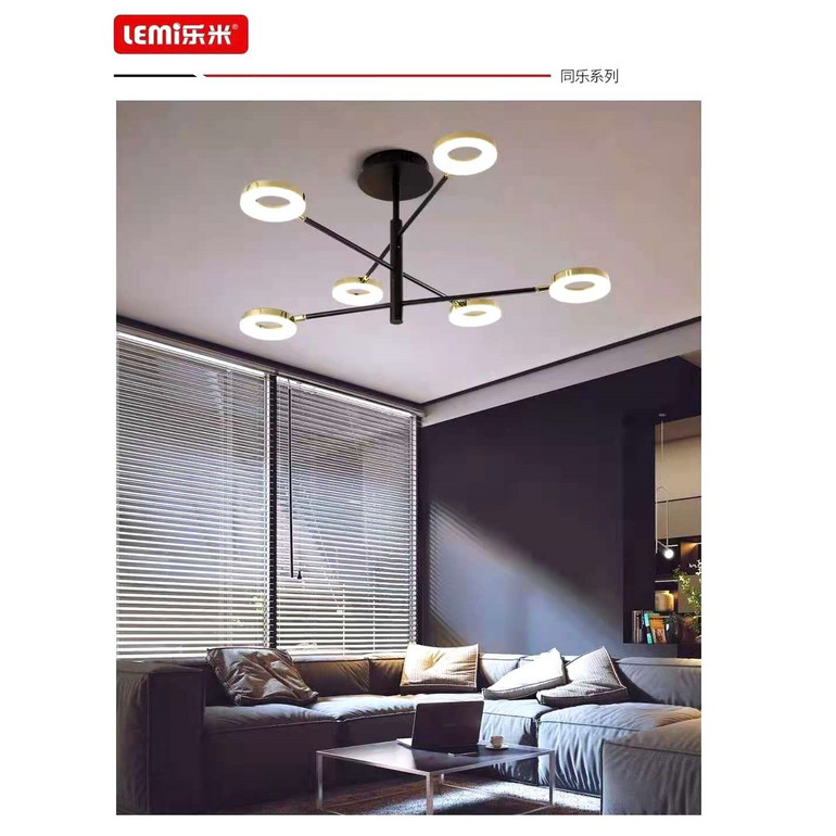 Le Mi Tong Le series living room ceiling lamp