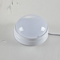 Fire emergency ceiling light