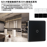 Q2 LN Intelligent Touch Switch 220V Wiring Type