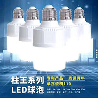 Column King series LED bulb lamp