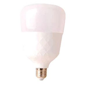 LED bright bulb lamp