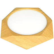 LED highlighting round flat light