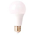 LED bright bulb lamp