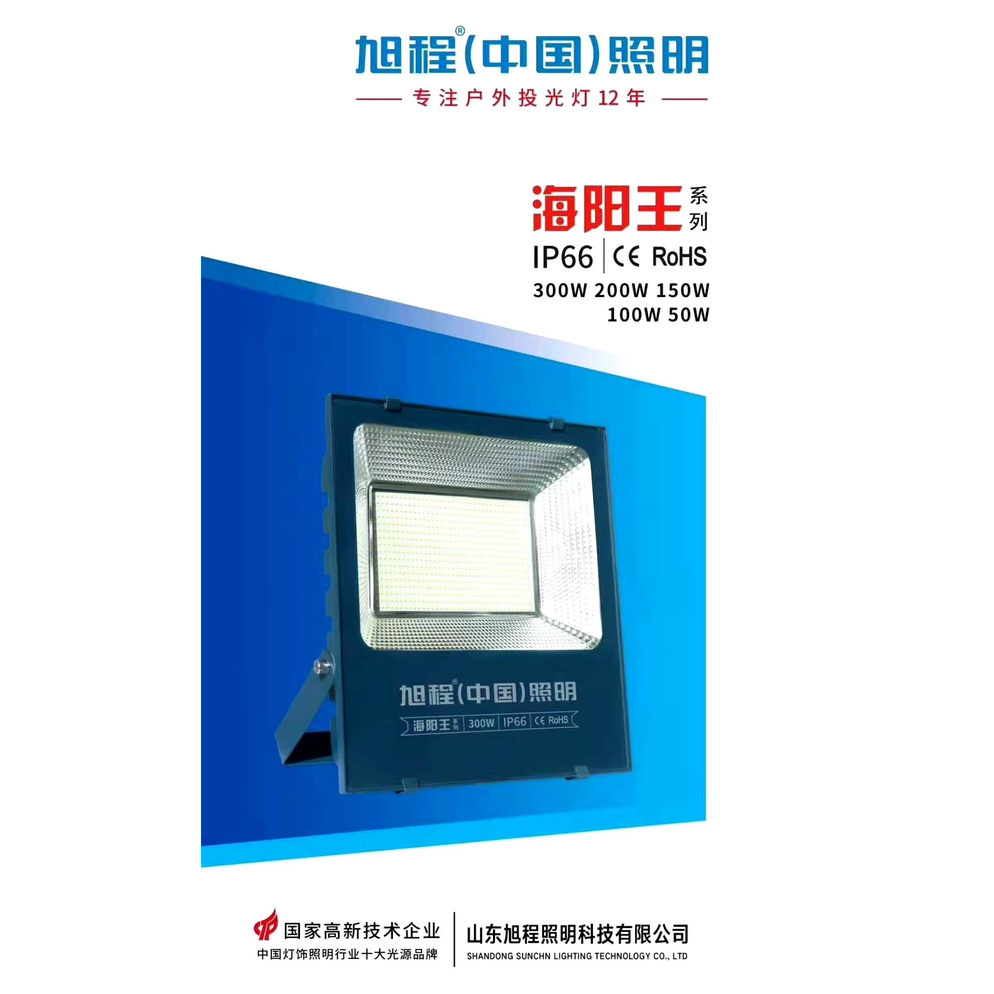 Haiyang King series IP66 projection lamp