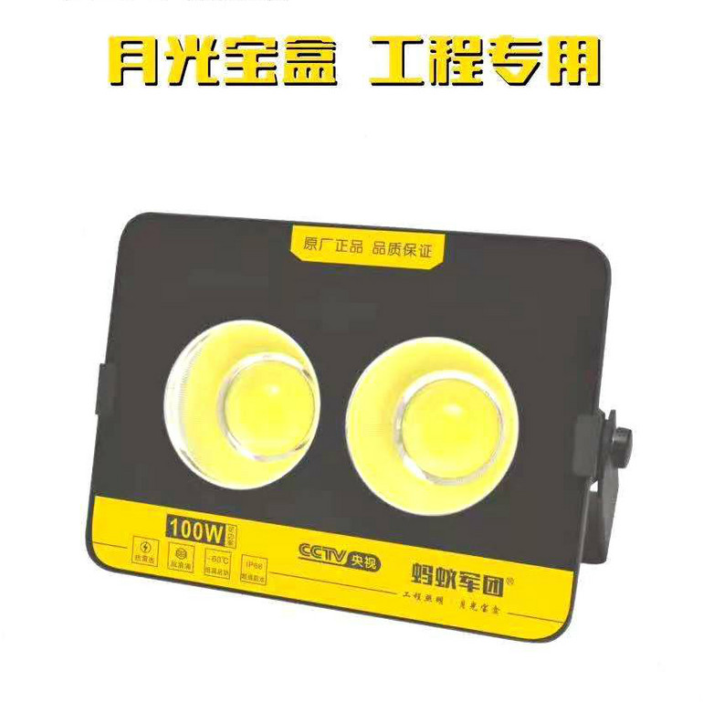 LED 100W Floodlight