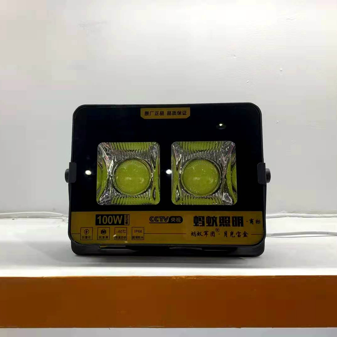 100W Floodlight