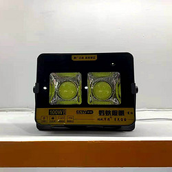 100W Floodlight