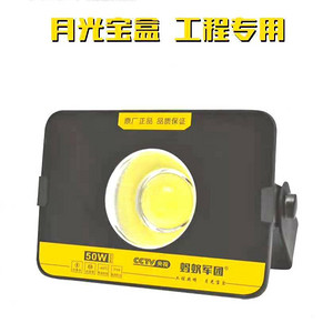 LED 50W Floodlight