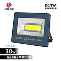 Shinning Series 30W LED Floodlight